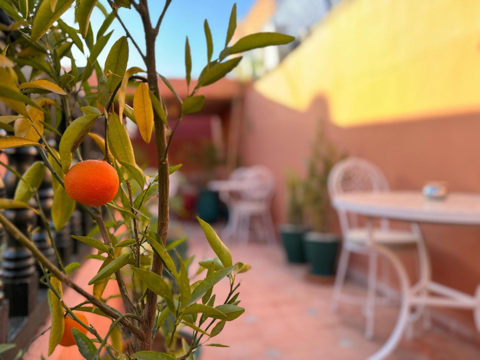 Riad Sanwa Marrakesh Ngoại thất bức ảnh
